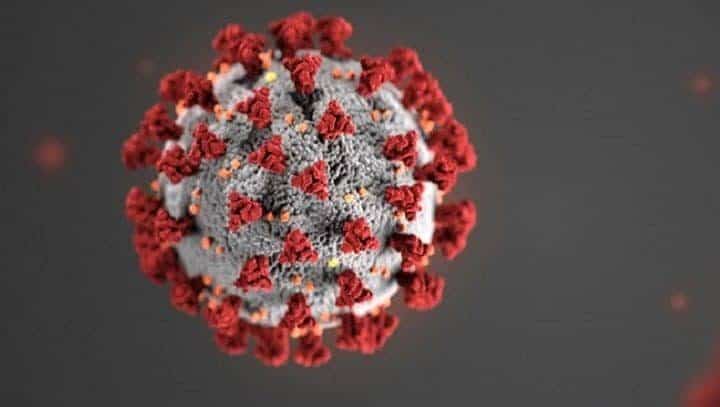 illustration of COVID-19 microbe